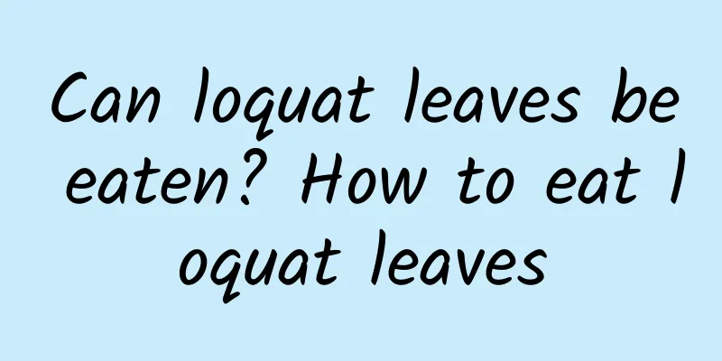 Can loquat leaves be eaten? How to eat loquat leaves