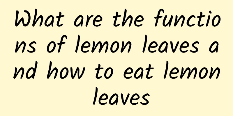 What are the functions of lemon leaves and how to eat lemon leaves