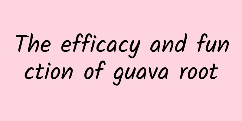 The efficacy and function of guava root