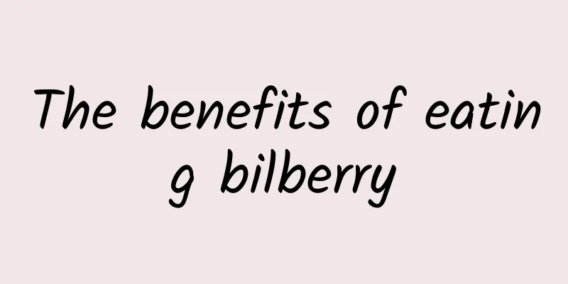 The benefits of eating bilberry