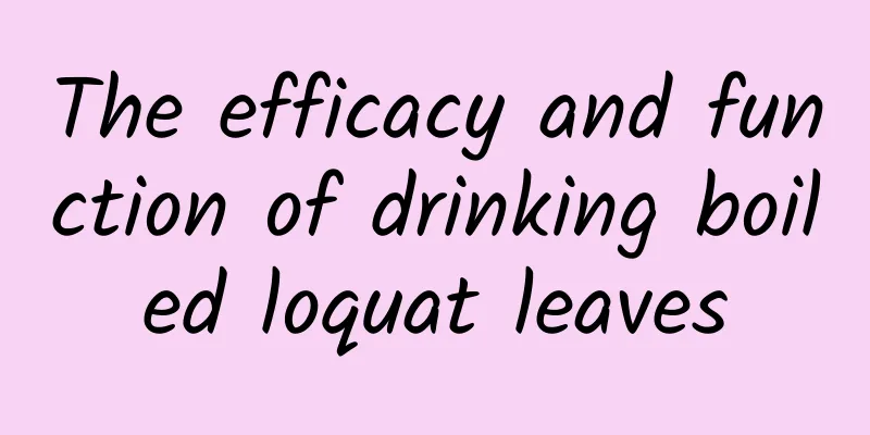 The efficacy and function of drinking boiled loquat leaves