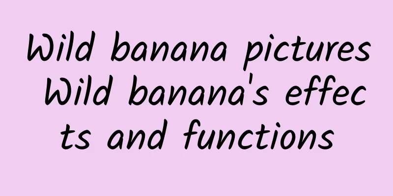 Wild banana pictures Wild banana's effects and functions