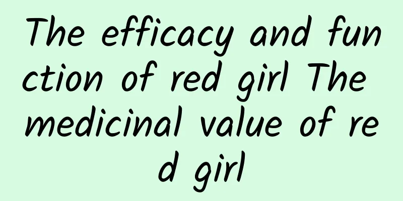 The efficacy and function of red girl The medicinal value of red girl