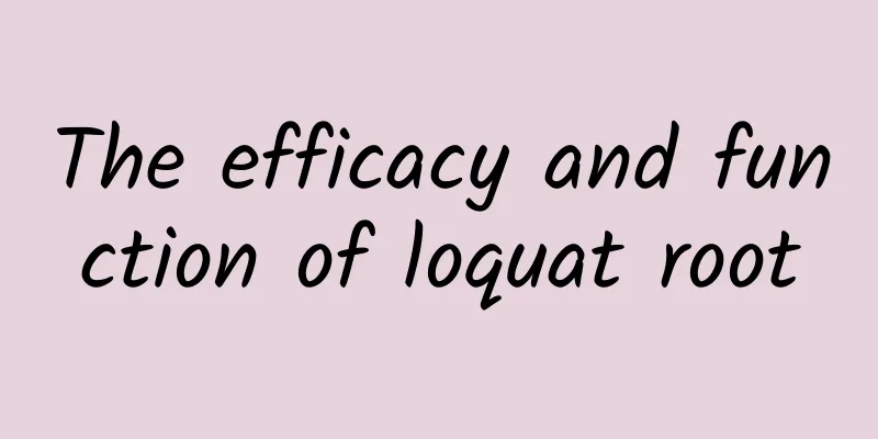 The efficacy and function of loquat root