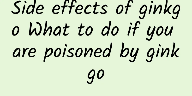 Side effects of ginkgo What to do if you are poisoned by ginkgo