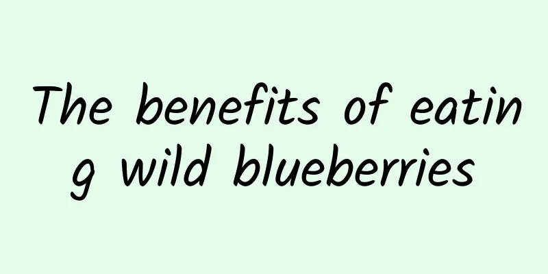 The benefits of eating wild blueberries