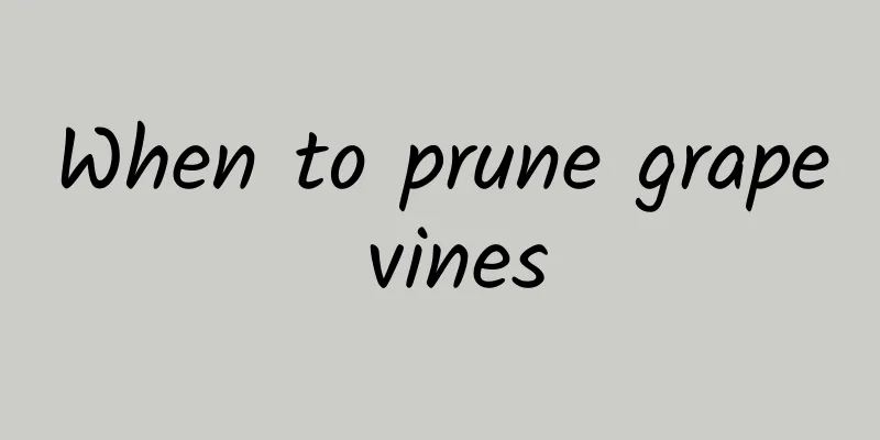 When to prune grape vines