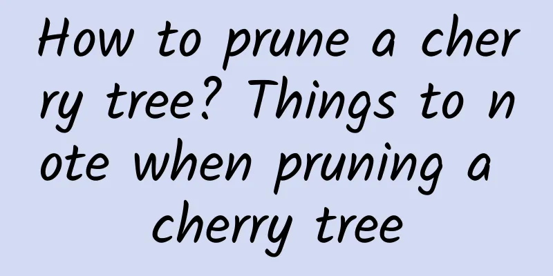 How to prune a cherry tree? Things to note when pruning a cherry tree