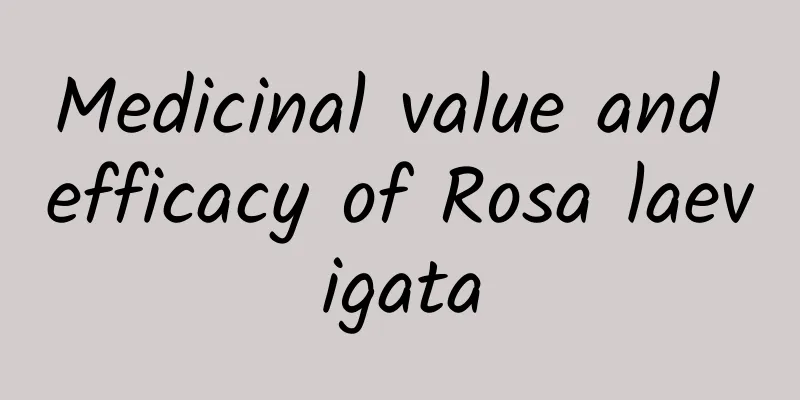 Medicinal value and efficacy of Rosa laevigata