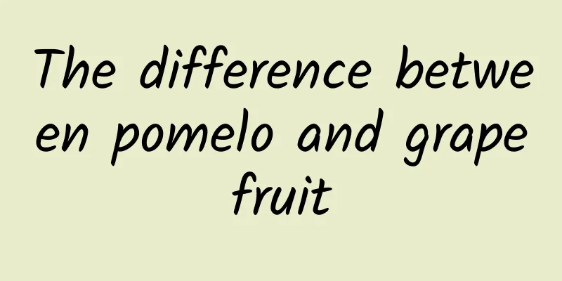 The difference between pomelo and grapefruit