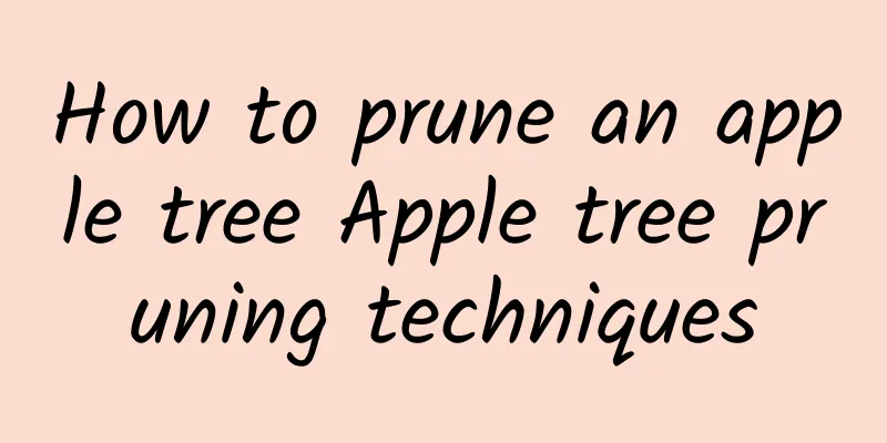 How to prune an apple tree Apple tree pruning techniques