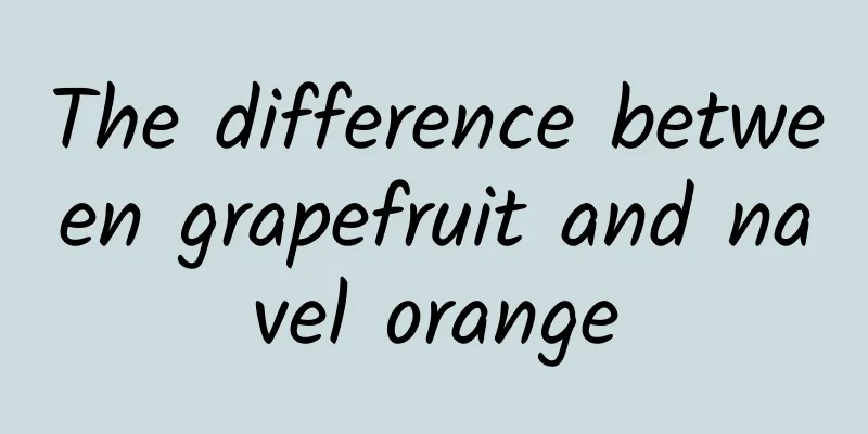 The difference between grapefruit and navel orange