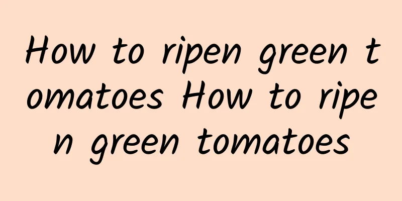 How to ripen green tomatoes How to ripen green tomatoes