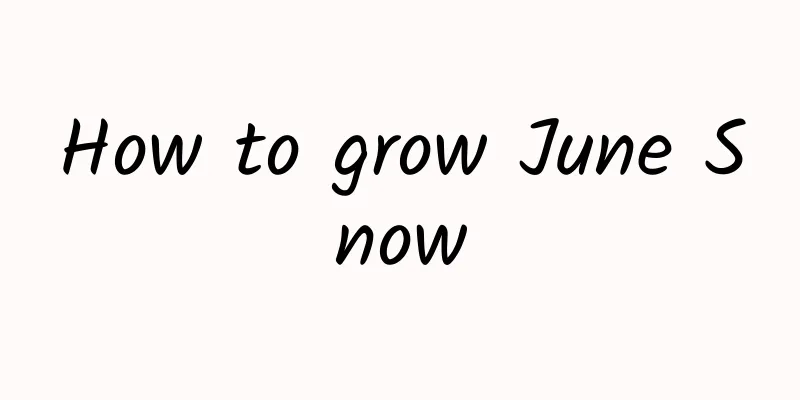 How to grow June Snow