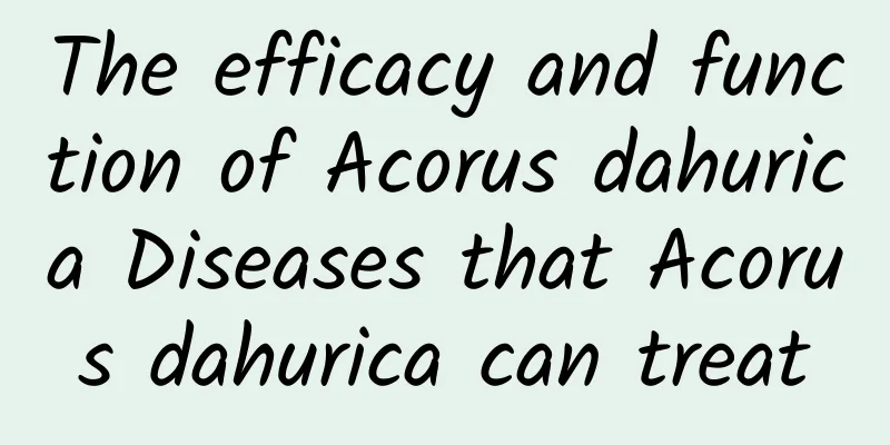 The efficacy and function of Acorus dahurica Diseases that Acorus dahurica can treat