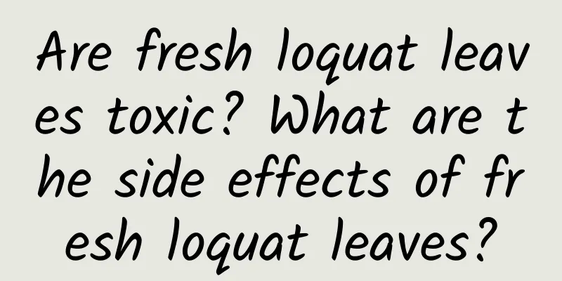 Are fresh loquat leaves toxic? What are the side effects of fresh loquat leaves?