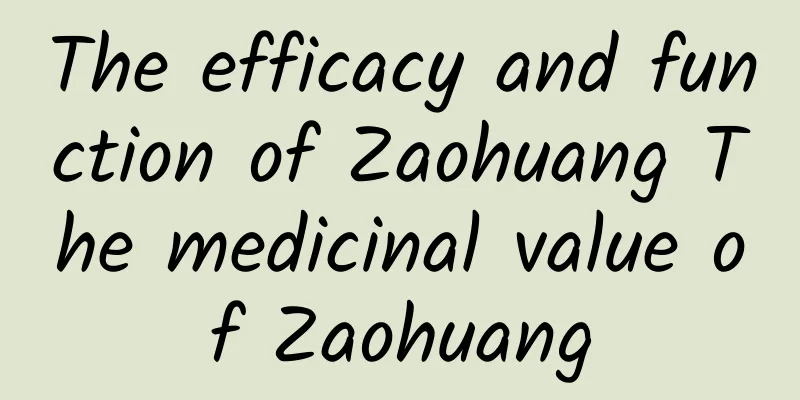 The efficacy and function of Zaohuang The medicinal value of Zaohuang