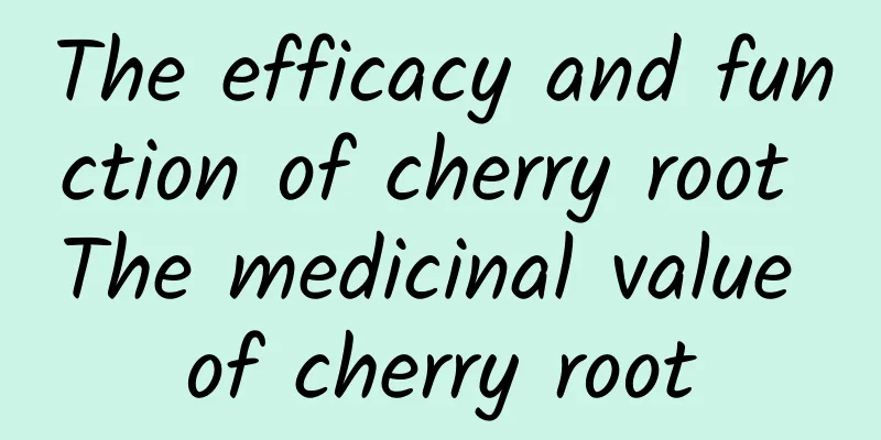 The efficacy and function of cherry root The medicinal value of cherry root