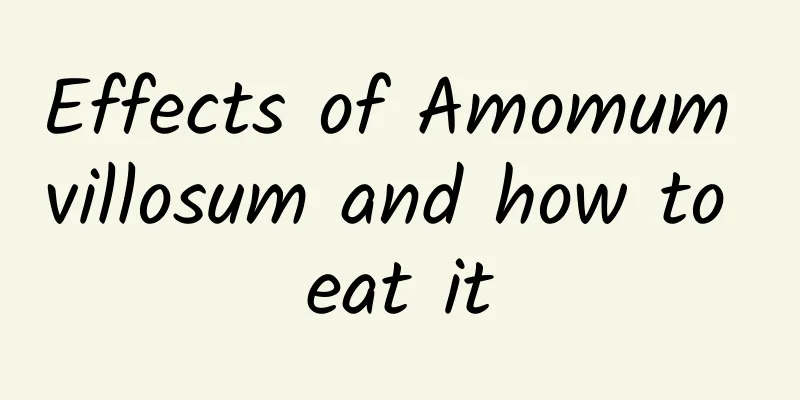 Effects of Amomum villosum and how to eat it