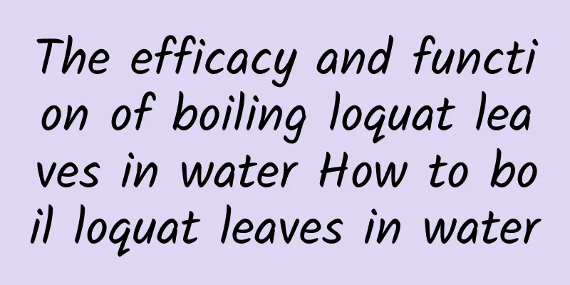 The efficacy and function of boiling loquat leaves in water How to boil loquat leaves in water