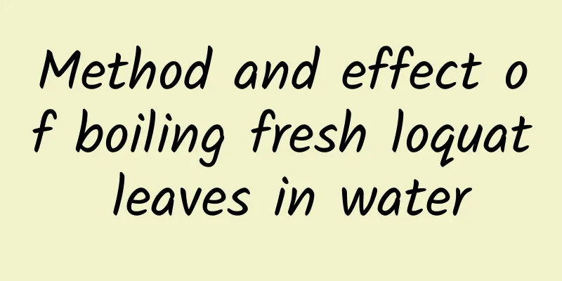 Method and effect of boiling fresh loquat leaves in water