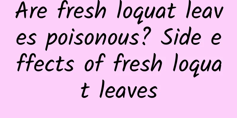 Are fresh loquat leaves poisonous? Side effects of fresh loquat leaves