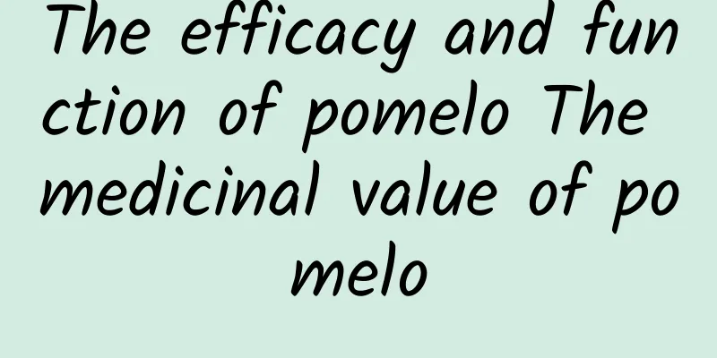 The efficacy and function of pomelo The medicinal value of pomelo