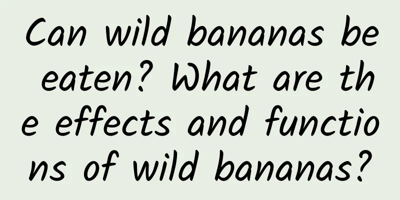 Can wild bananas be eaten? What are the effects and functions of wild bananas?