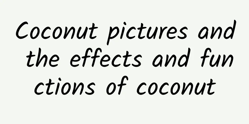 Coconut pictures and the effects and functions of coconut