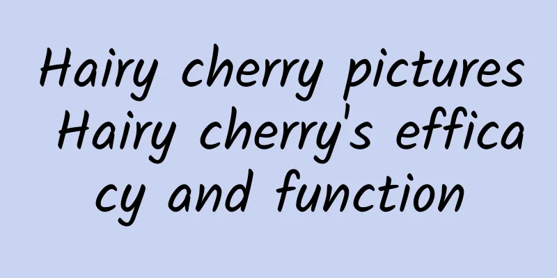 Hairy cherry pictures Hairy cherry's efficacy and function