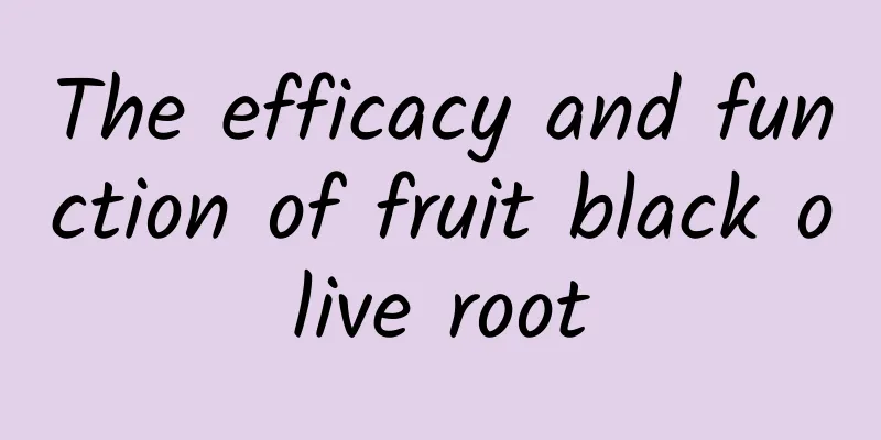 The efficacy and function of fruit black olive root