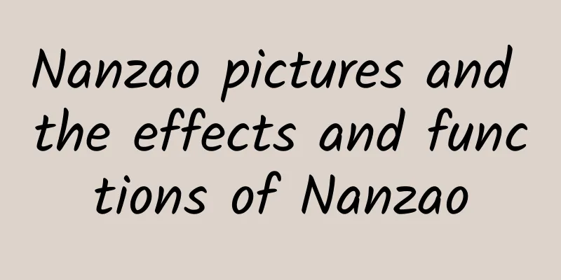 Nanzao pictures and the effects and functions of Nanzao