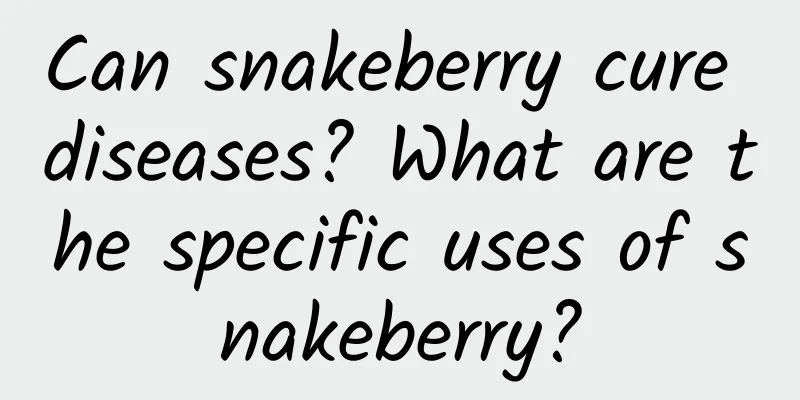 Can snakeberry cure diseases? What are the specific uses of snakeberry?