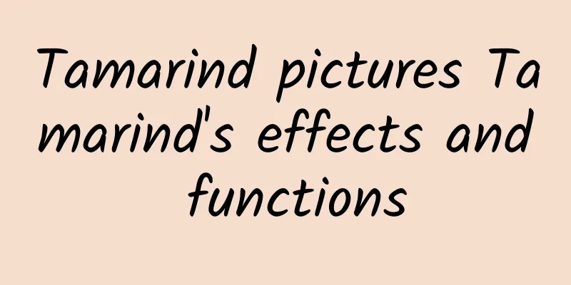 Tamarind pictures Tamarind's effects and functions