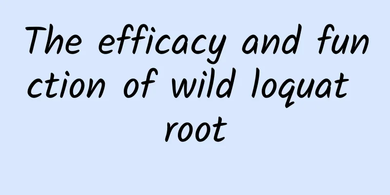 The efficacy and function of wild loquat root