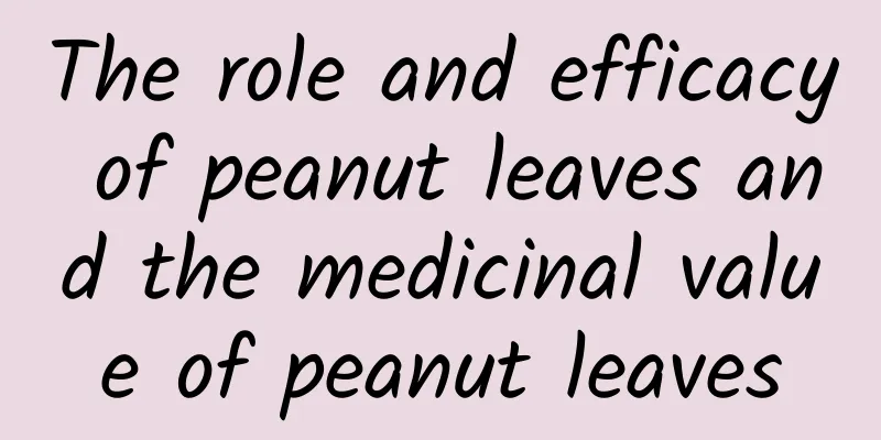 The role and efficacy of peanut leaves and the medicinal value of peanut leaves