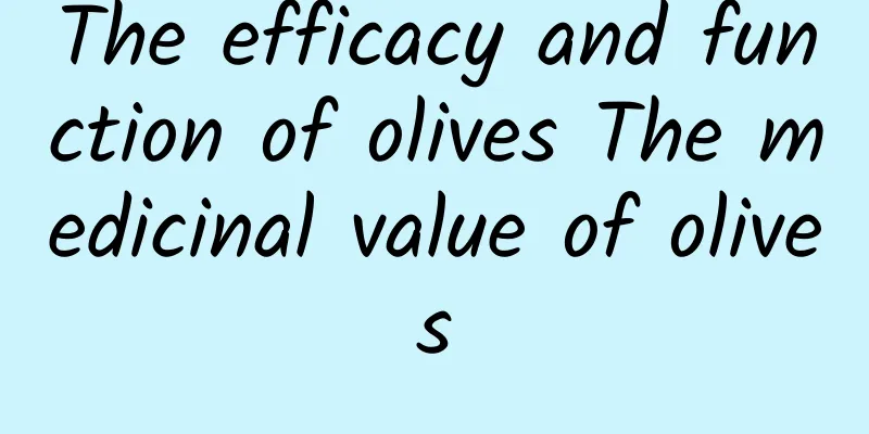 The efficacy and function of olives The medicinal value of olives