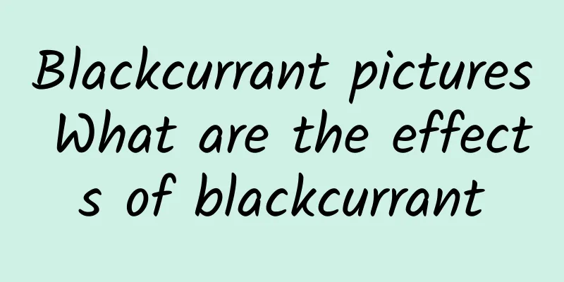 Blackcurrant pictures What are the effects of blackcurrant