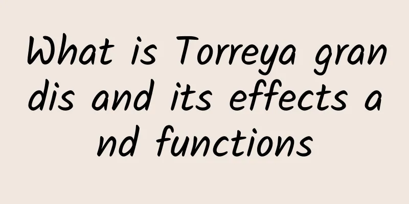 What is Torreya grandis and its effects and functions