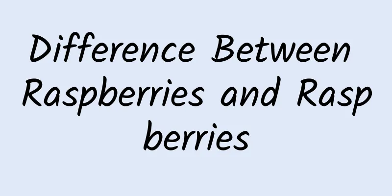 Difference Between Raspberries and Raspberries