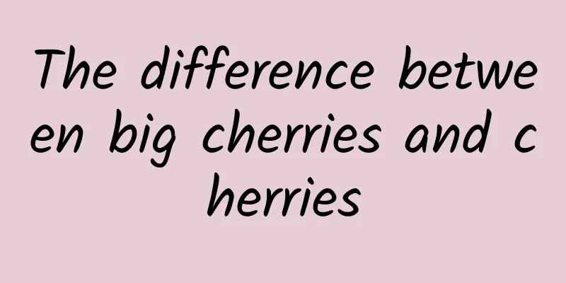 The difference between big cherries and cherries