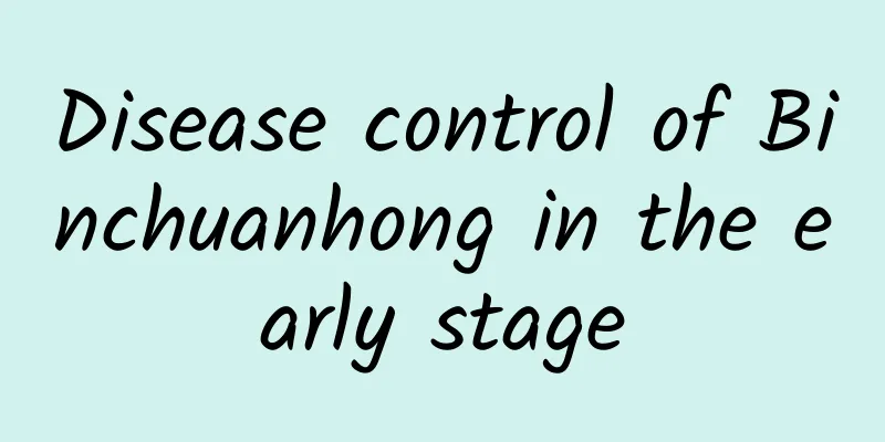 Disease control of Binchuanhong in the early stage