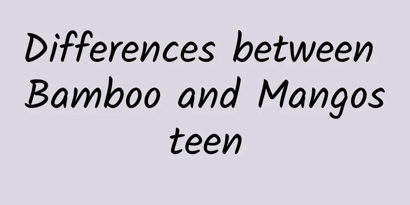 Differences between Bamboo and Mangosteen