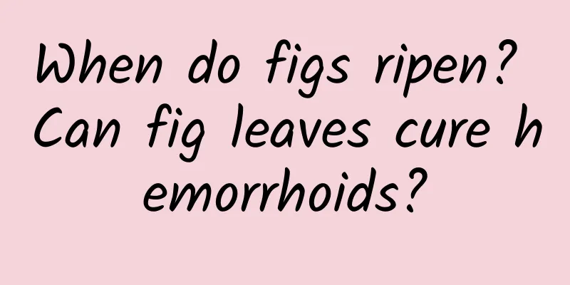 When do figs ripen? Can fig leaves cure hemorrhoids?