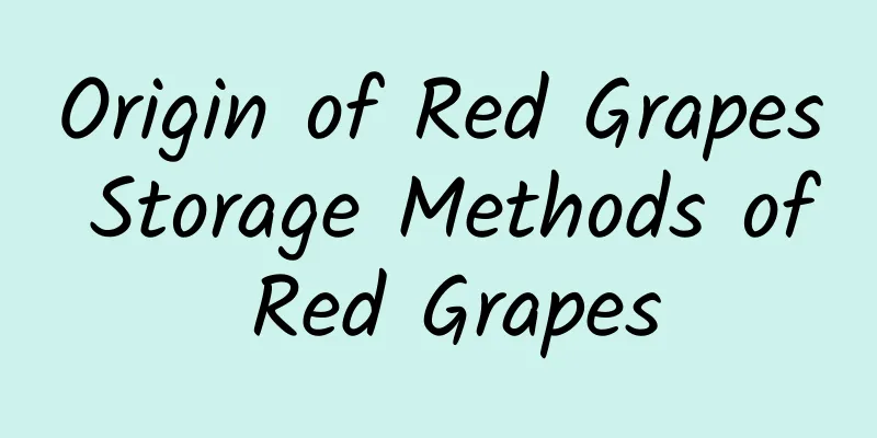 Origin of Red Grapes Storage Methods of Red Grapes