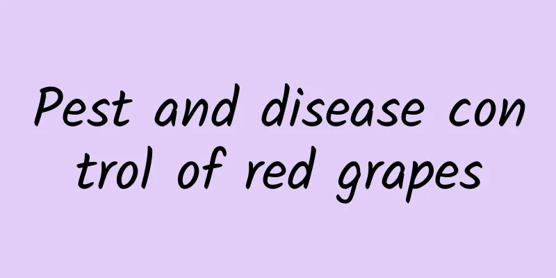 Pest and disease control of red grapes