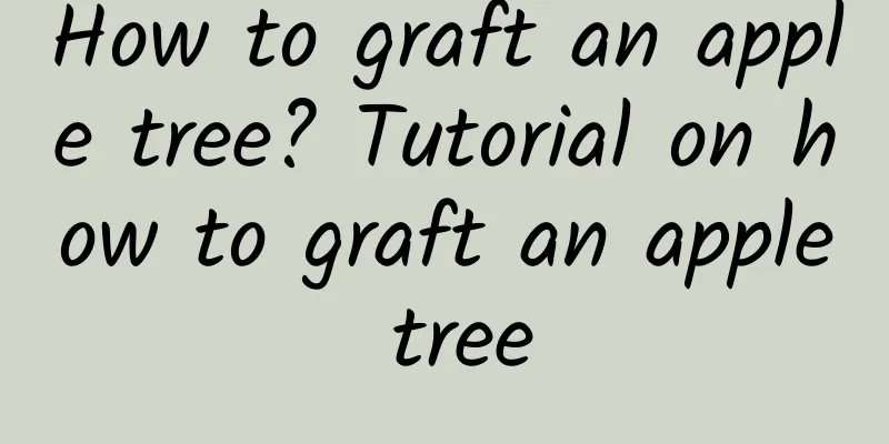 How to graft an apple tree? Tutorial on how to graft an apple tree