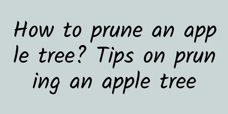 How to prune an apple tree? Tips on pruning an apple tree