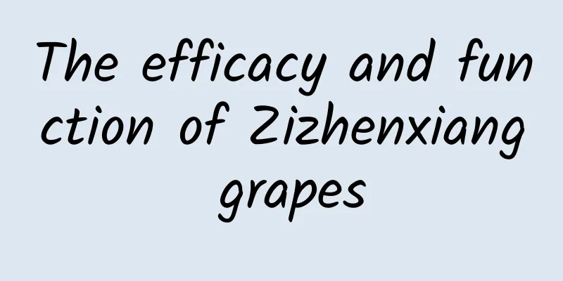 The efficacy and function of Zizhenxiang grapes