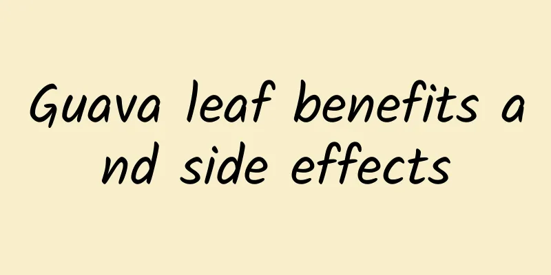 Guava leaf benefits and side effects